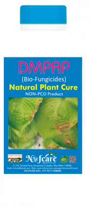 DMPAM