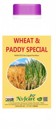 Wheat & Paddy Special