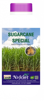 Sugarcane Special