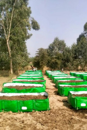 Agro Bio Reformer (Organic Mixture)