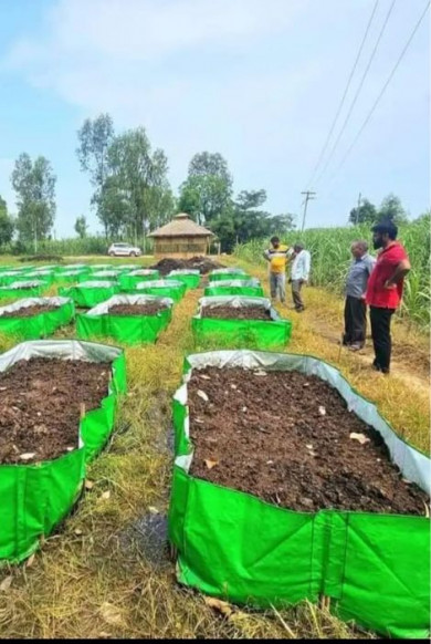 Bio Organic Manure (Fertilizer)