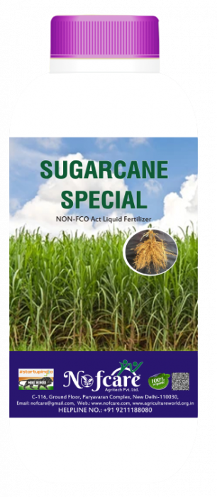 Sugarcane Special