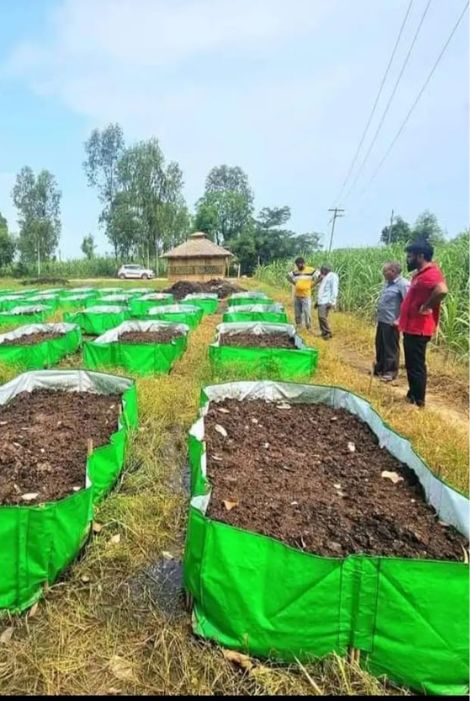 Organic Soil Booster (Organic Mixture)