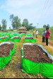 Organic Soil Booster (Organic Mixture)